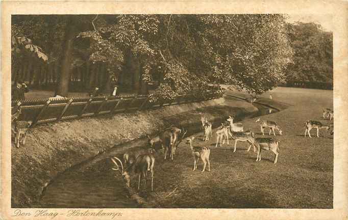 Den Haag Hertenkamp