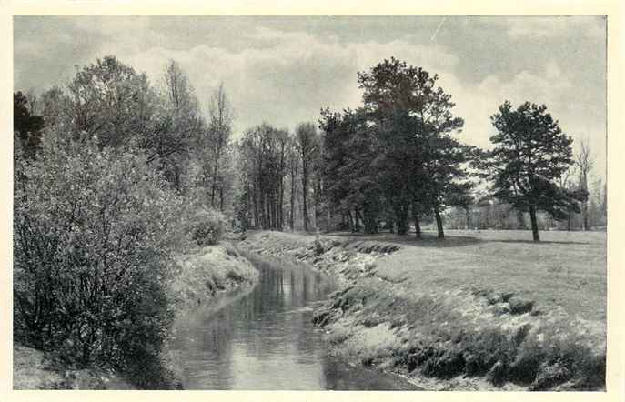 Twente De Dinkel bij de Kribbenbrug