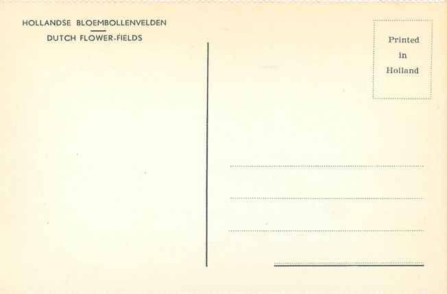 Nederland Hollandse Bloembollenvelden