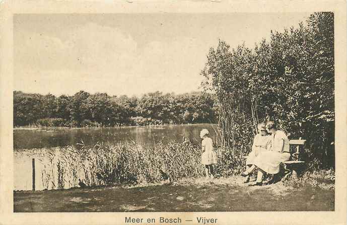 Nederland Meer en Bosch