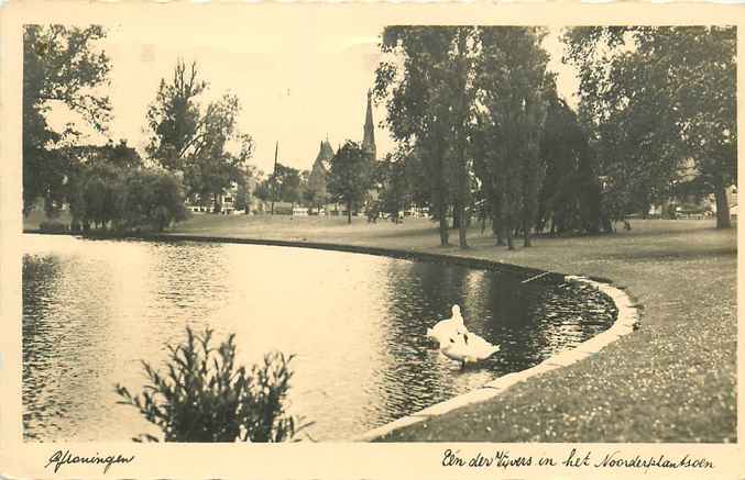 Groningen Noorderplantsoen