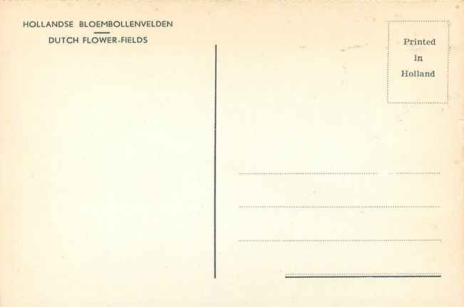 Nederland Hollandse Bloembollenvelden