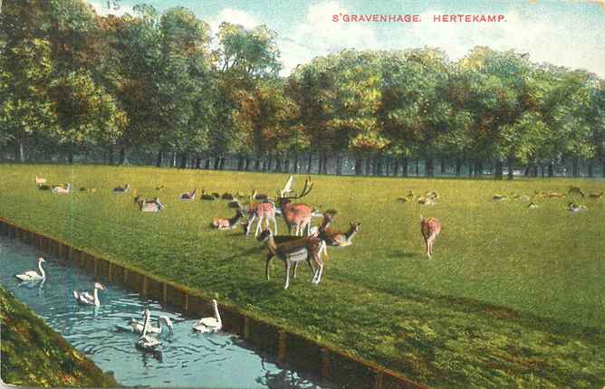 Den Haag Hertekamp