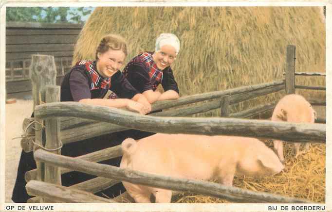 Veluwe Bij de Boerderij