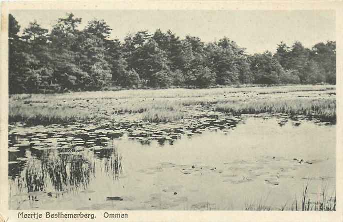 Ommen Meertje Besthemerberg