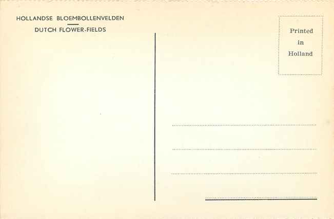 Nederland Hollandse Bloembollenvelden
