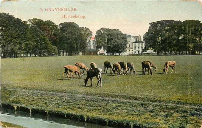 Den Haag Hertenkamp