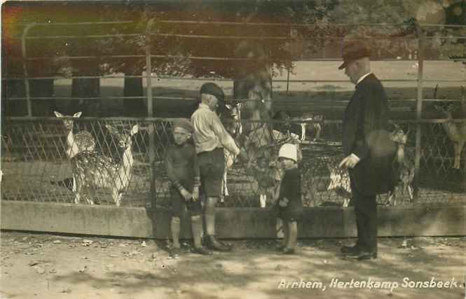 Arnhem Hertenkamp