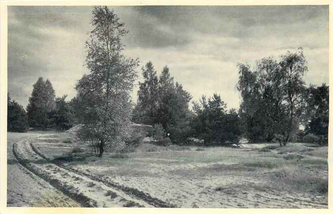 Twente Natuurschoon Lutterzand