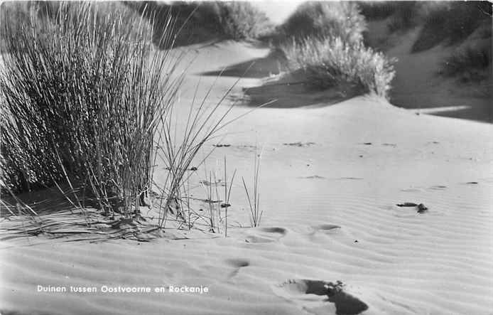 Oostvoorne Duinen