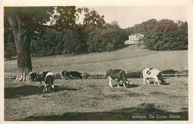 Arnhem De Grote Weide