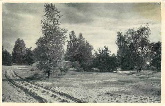 Twente Natuurschoon Lutterzand