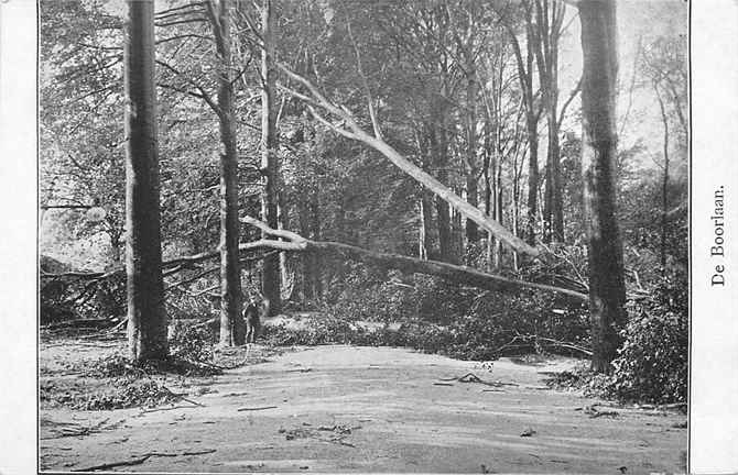 Nederland De Boorlaan