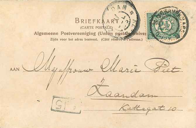 Nederland Hyacinthenvelden