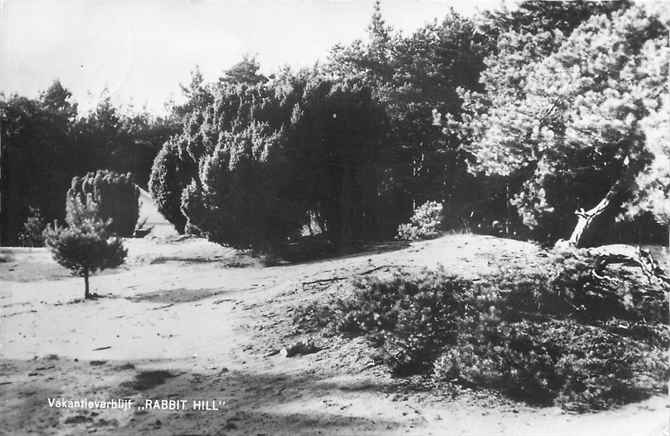 Nederland Vakantieverblijf Rabbit Hill