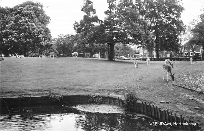 Veendam Hertenkamp