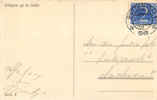 Nederland Schapen op de heide