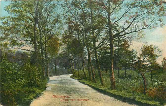 Nijmegen Bosch van Dommer