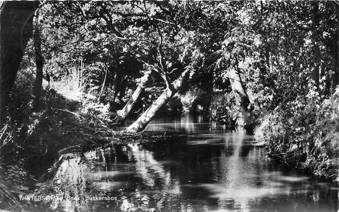 Winterswijk Beek Buskersbos