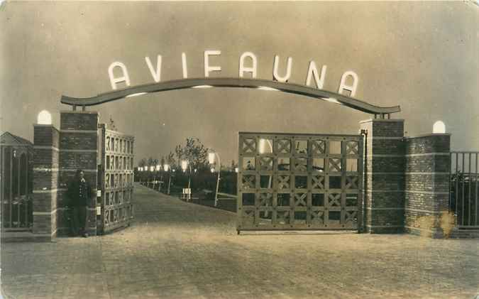 Alphen aan den Rijn Avifauna