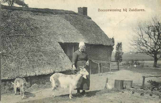 Zuidlaren Boerenwoning