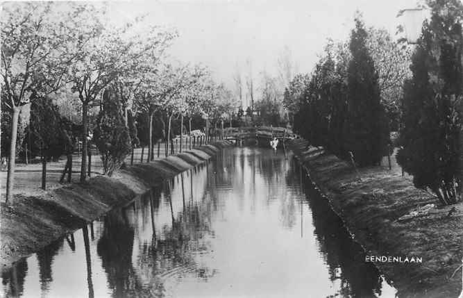 Alphen aan den Rijn Avifauna