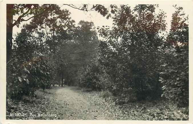 Renkum Bos Keijenberg