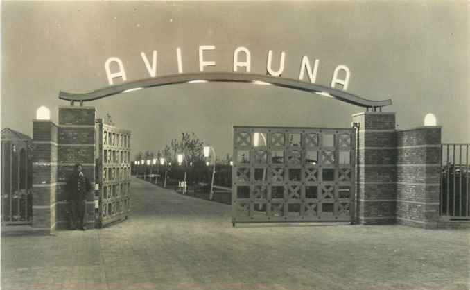 Alphen aan den Rijn Avifauna