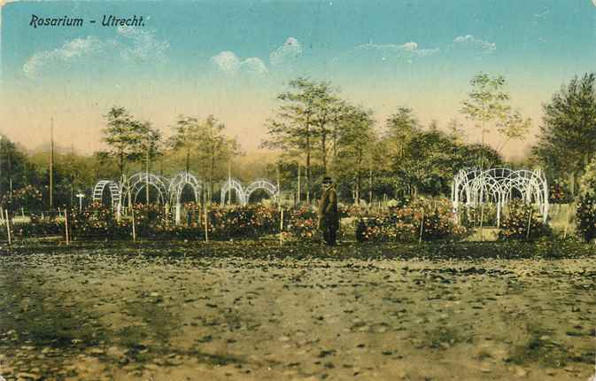 Utrecht Rosarium