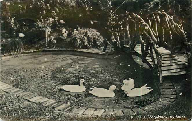 Alphen aan den Rijn Vogelpark Avifauna