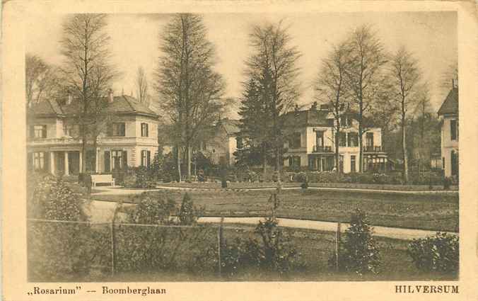 Hilversum Rosarium Boomberglaan