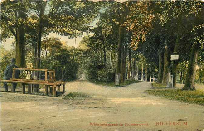 Hilversum Wilhelminaboom in Spanderwoud