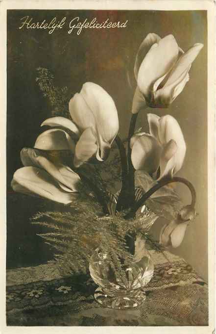 Nederland Hartelijk Gefeliciteerd