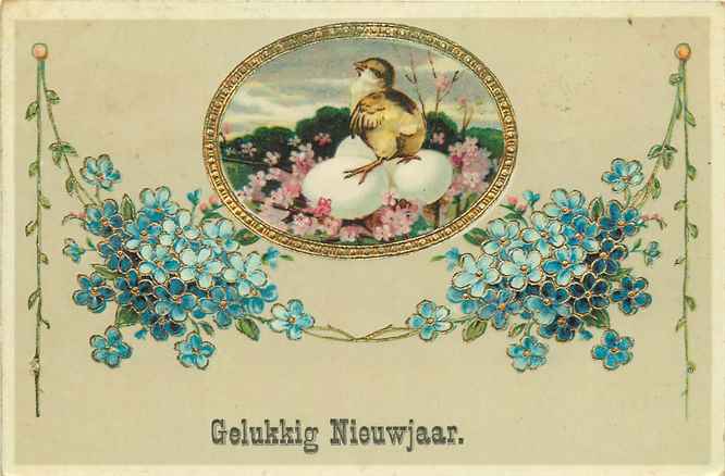 Nederland Gelukkig Nieuwjaar