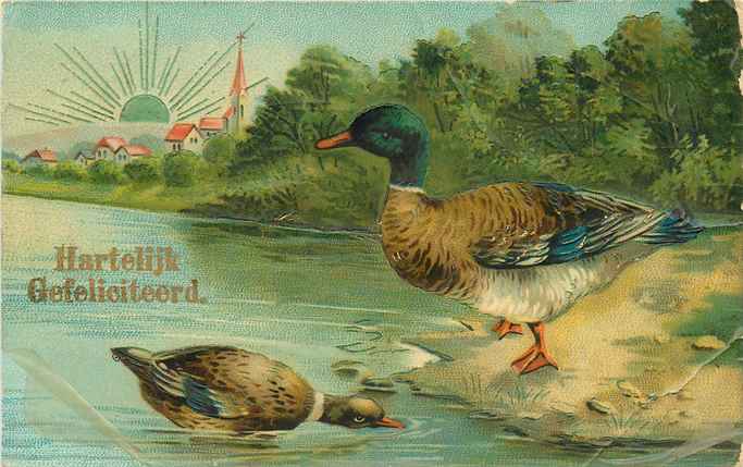 Nederland Hartelijk Gefeliciteerd