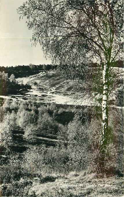 De Steeg Omgeving Posbank