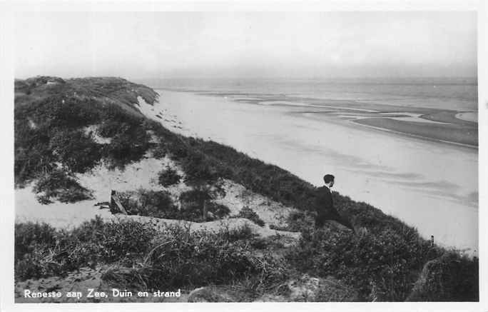 Renesse Duin en strand