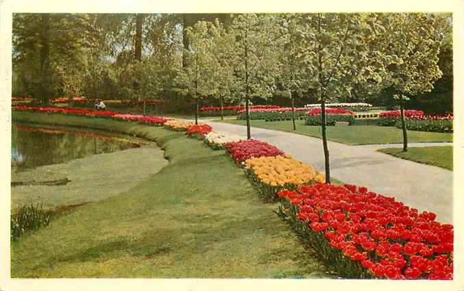 Lisse Keukenhof