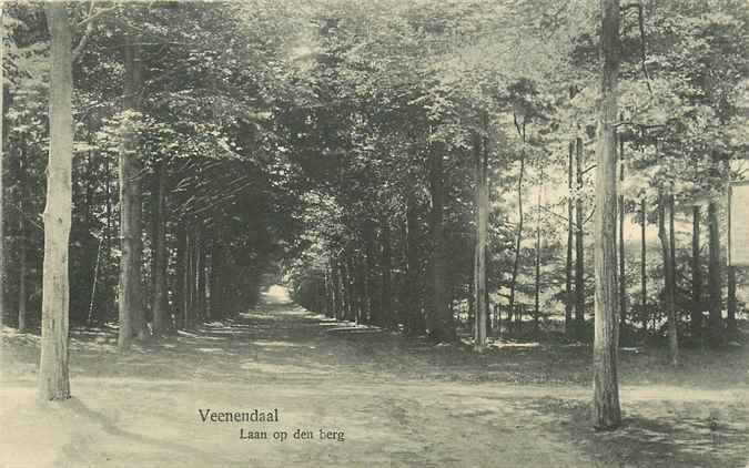 Veenendaal Laan op den berg