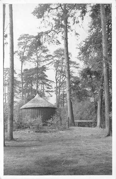 Driebergen-Rijsenburg Rijsenburgsche bosch