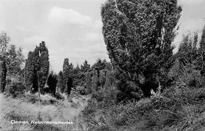 Ommen Natuurmonumenten