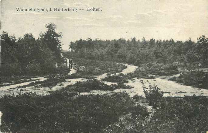 Holten Wandelingen id Holterberg