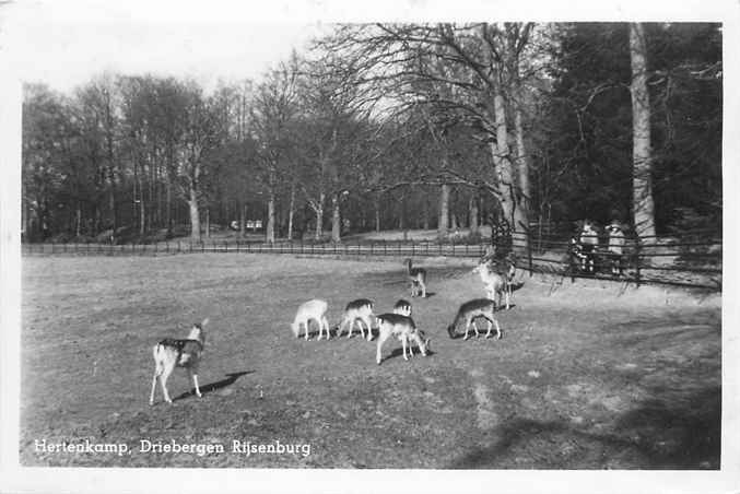 Driebergen-Rijsenburg Hertenkamp