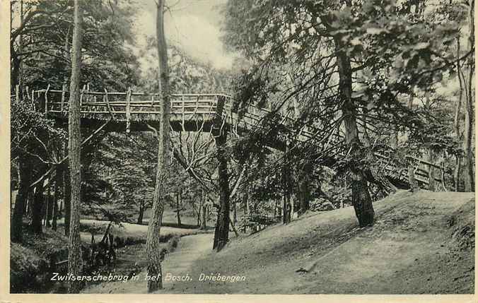 Driebergen-Rijsenburg Zwitserschebrug in het Bosch