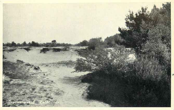 Drouwenerveen Zandduinen