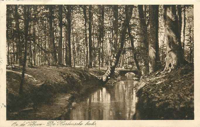 Veluwe De Hierdensche beek