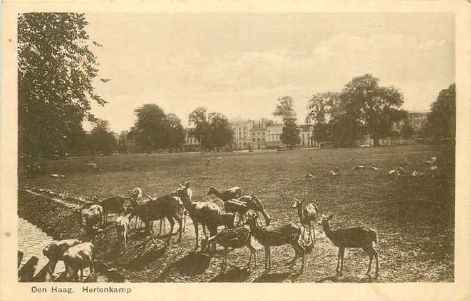 Den Haag Hertenkamp