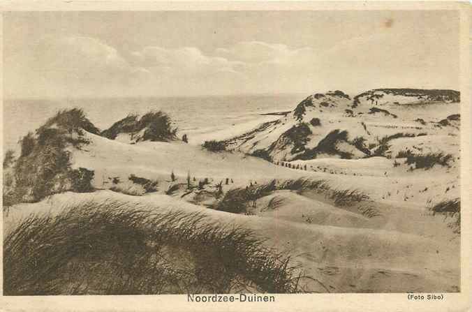 Nederland Noordzee Duinen