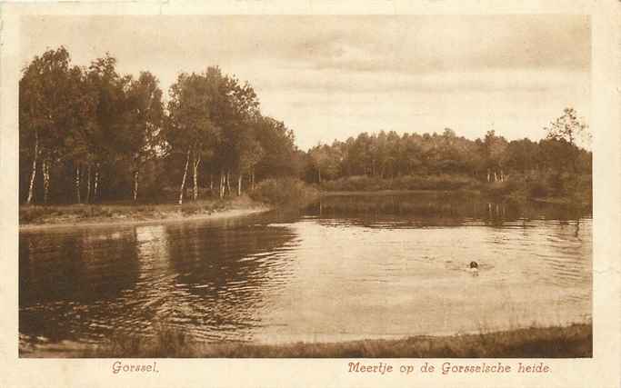 Gorssel Meertje op de Gorsselsche heide