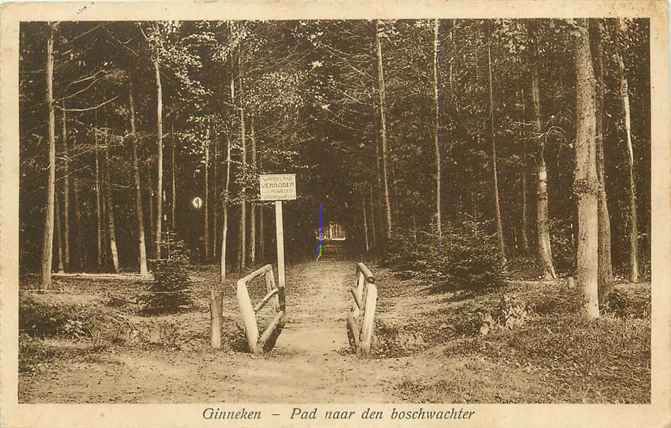Nederland Pad naar den boschwachter
